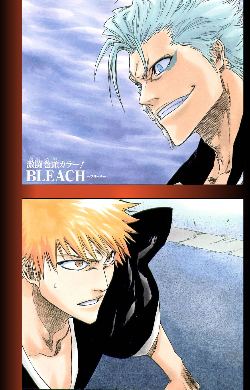 Bleach, Chapter 204 image 02