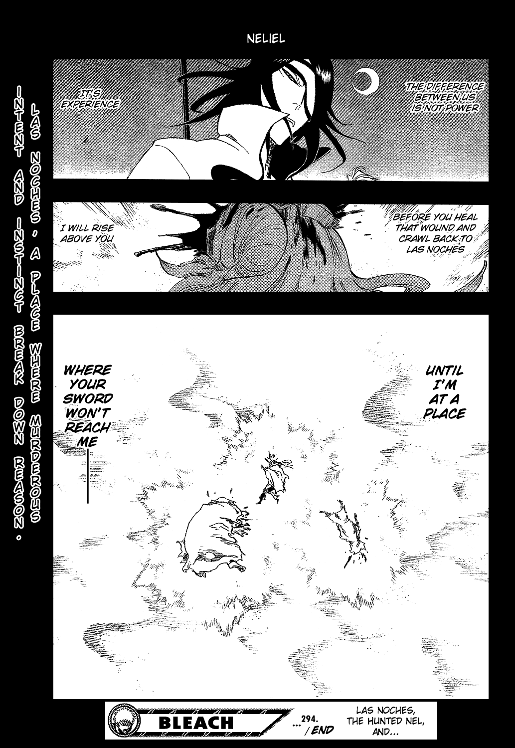 Bleach, Chapter 294 image 21