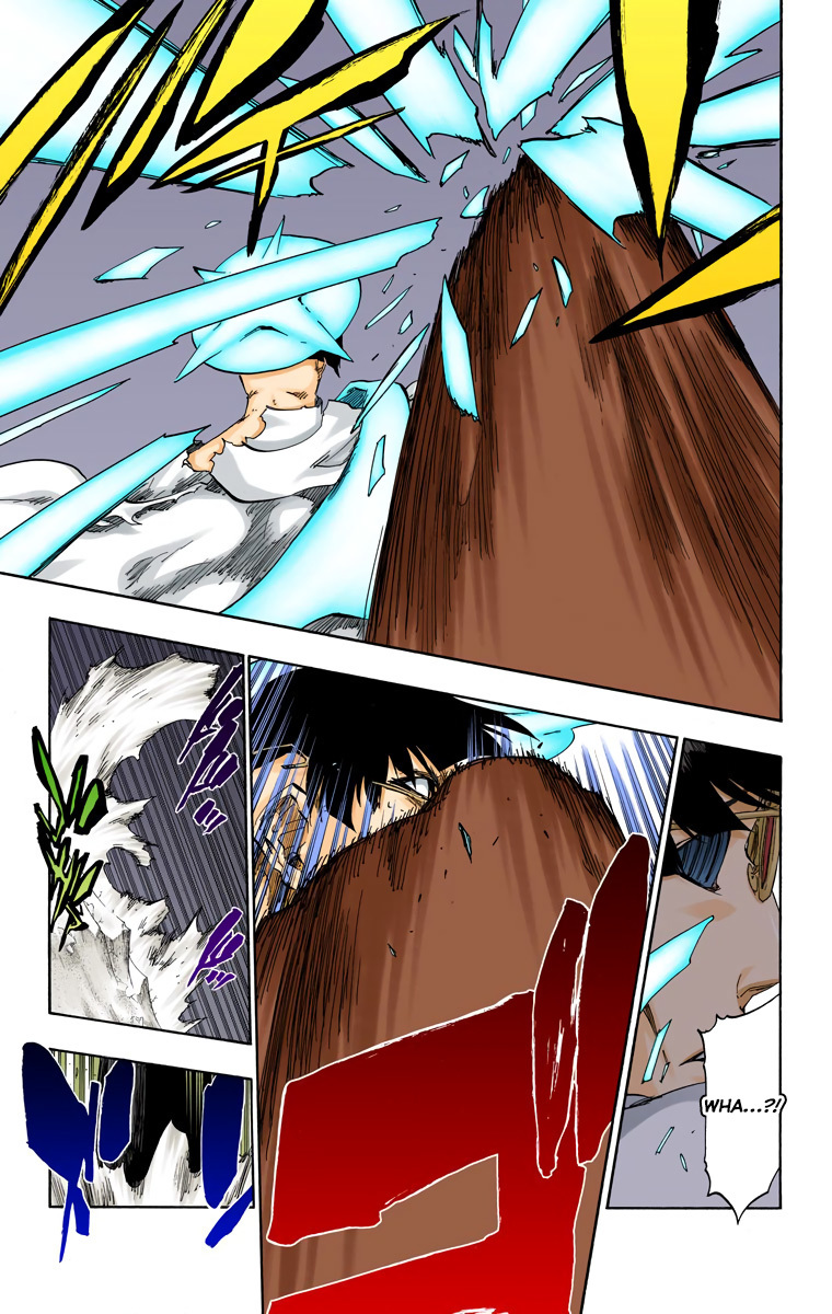 Bleach, Chapter 491 image 17