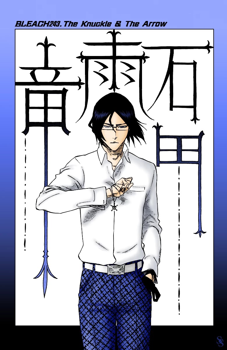 Bleach, Chapter 251 image 22