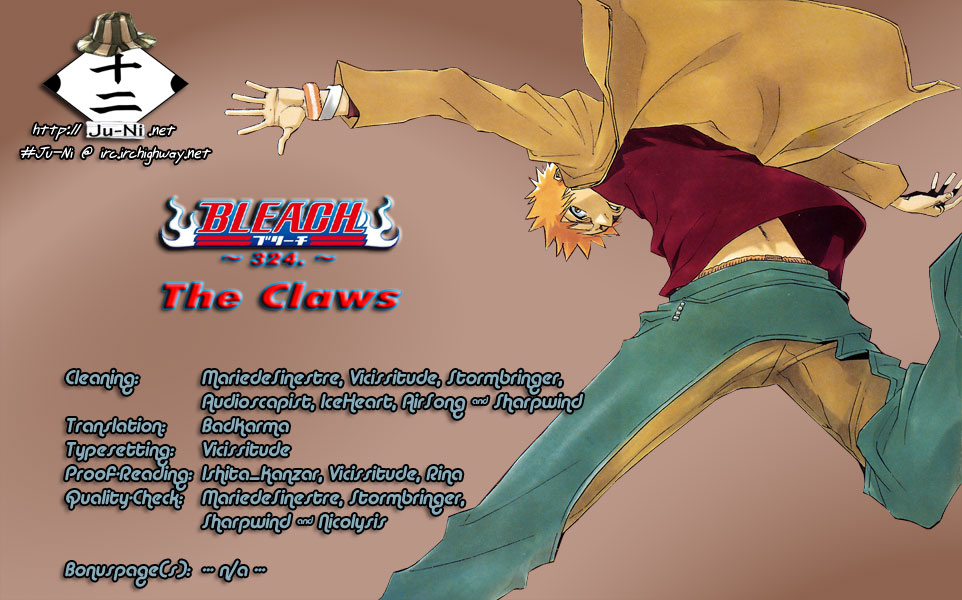 Bleach, Chapter 324 image 01