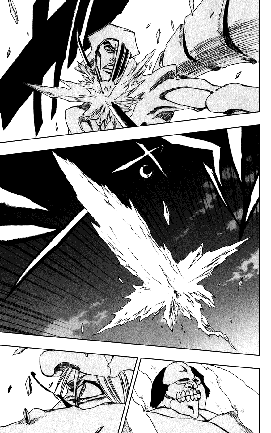 Bleach, Chapter 210 image 16