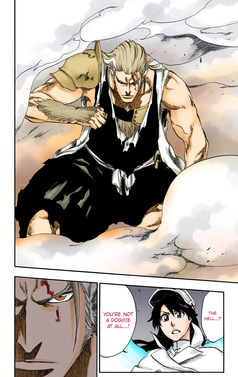 Bleach, Chapter 556 image 13