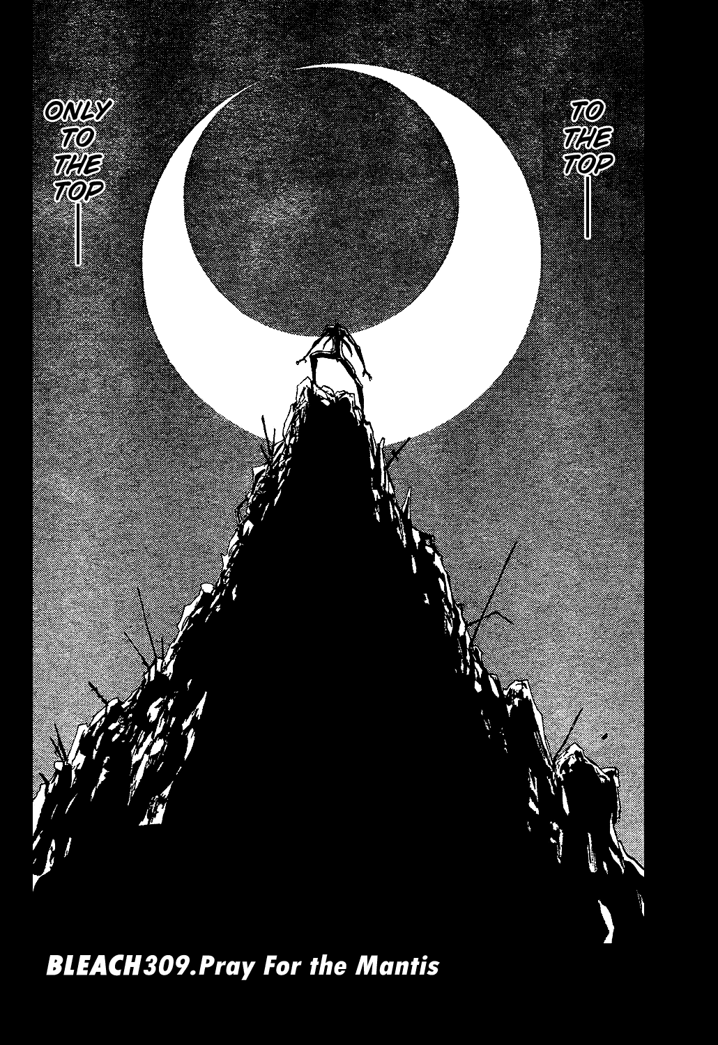 Bleach, Chapter 309 image 11