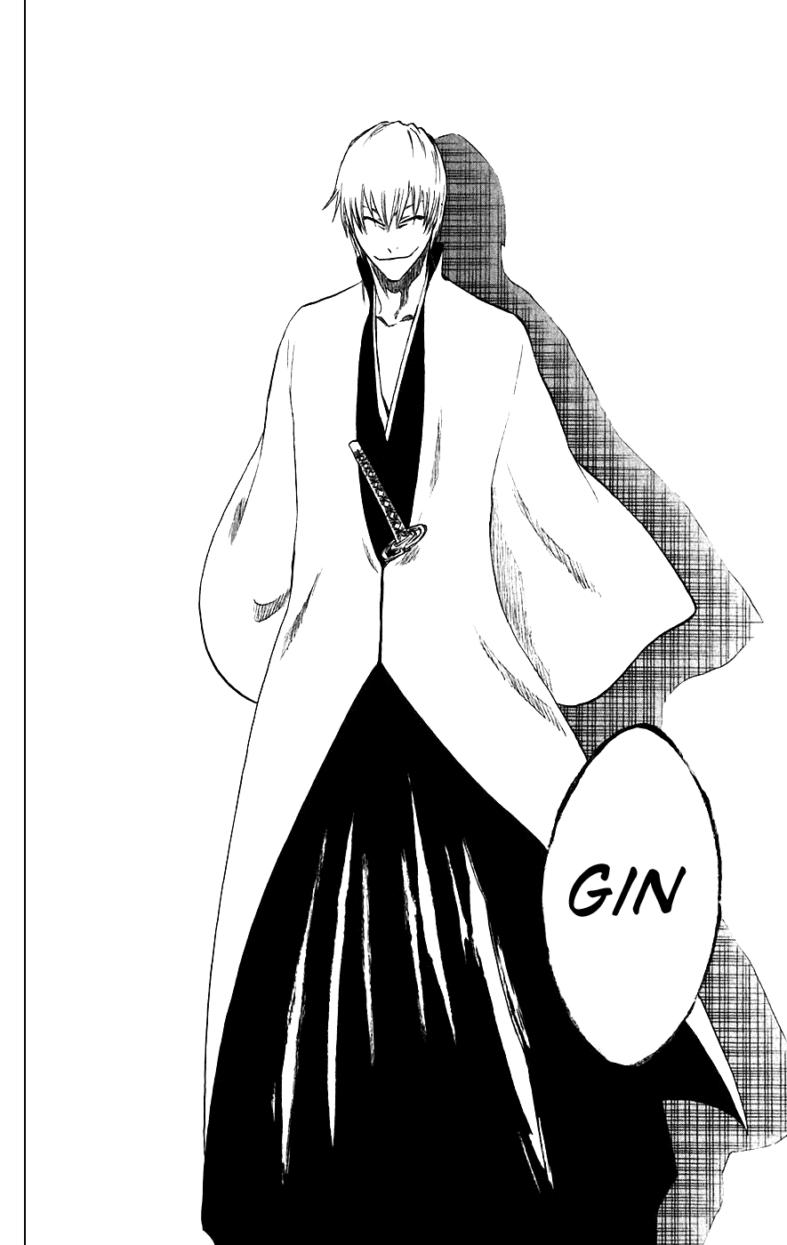 Bleach, Chapter 213 image 18