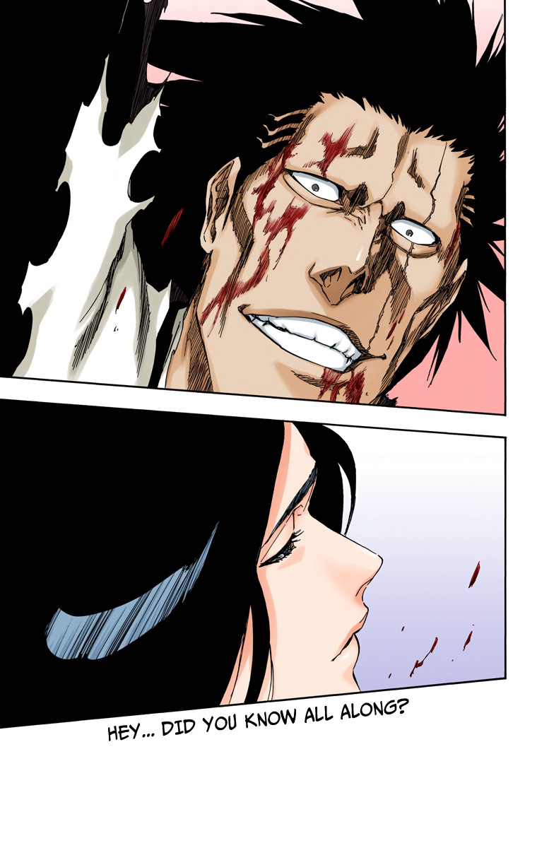 Bleach, Chapter 526 image 13