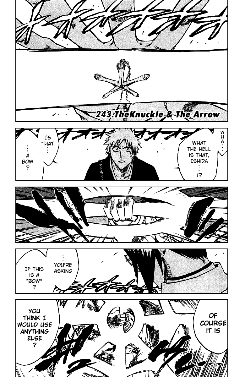 Bleach, Chapter 243 image 08