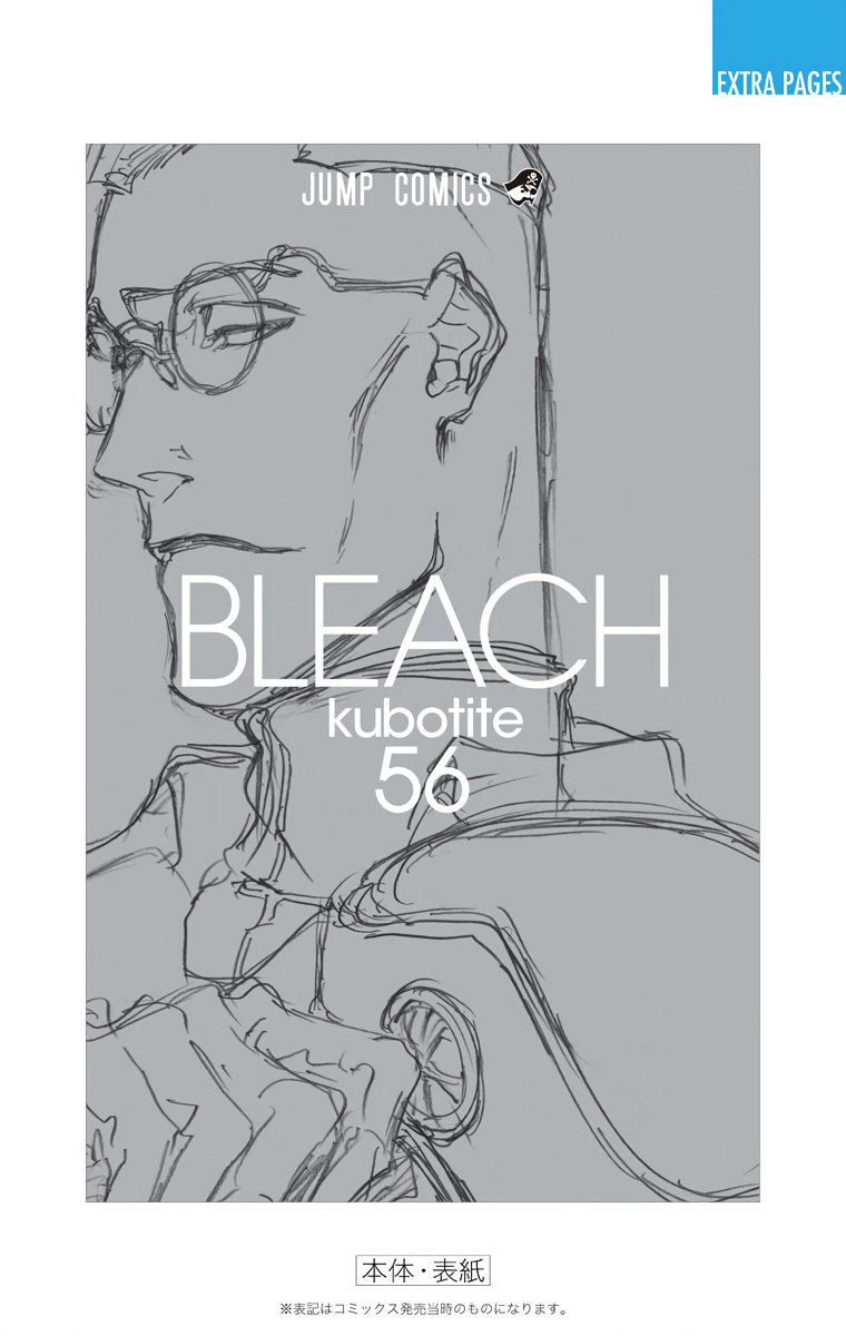 Bleach, Chapter 499 image 21