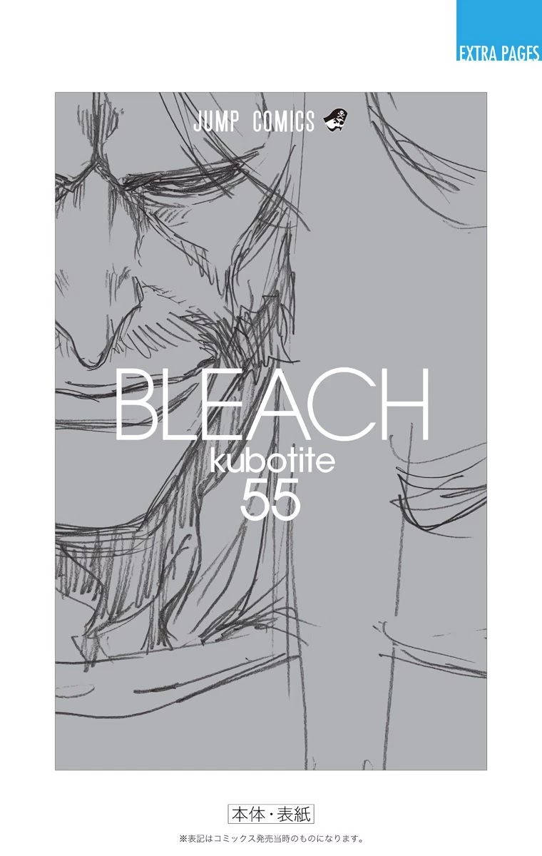 Bleach, Chapter 489 image 22