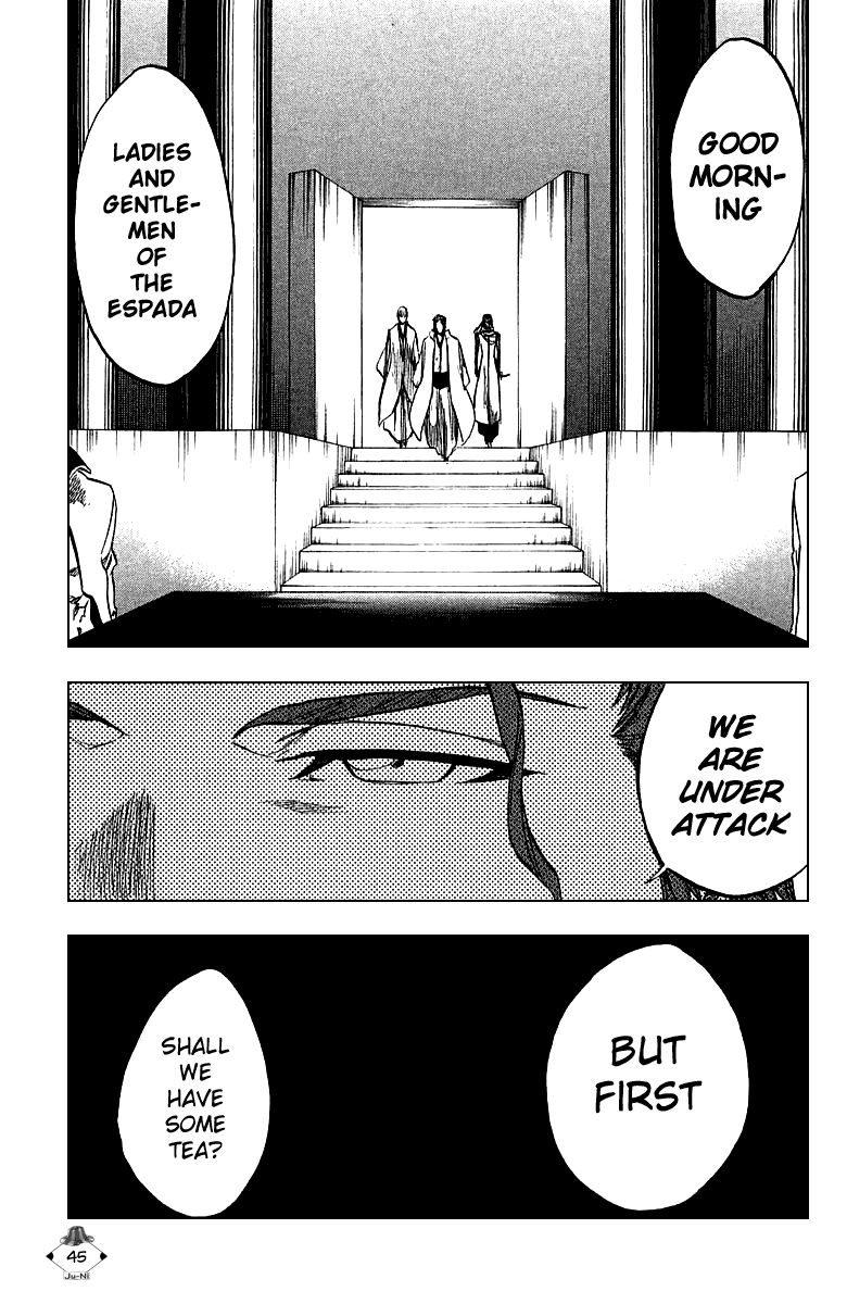 Bleach, Chapter 244 image 17