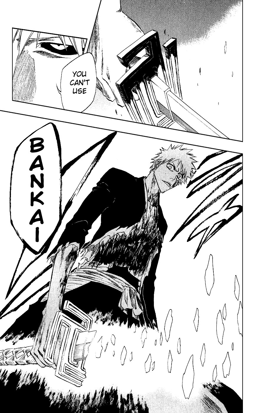 Bleach, Chapter 219 image 17