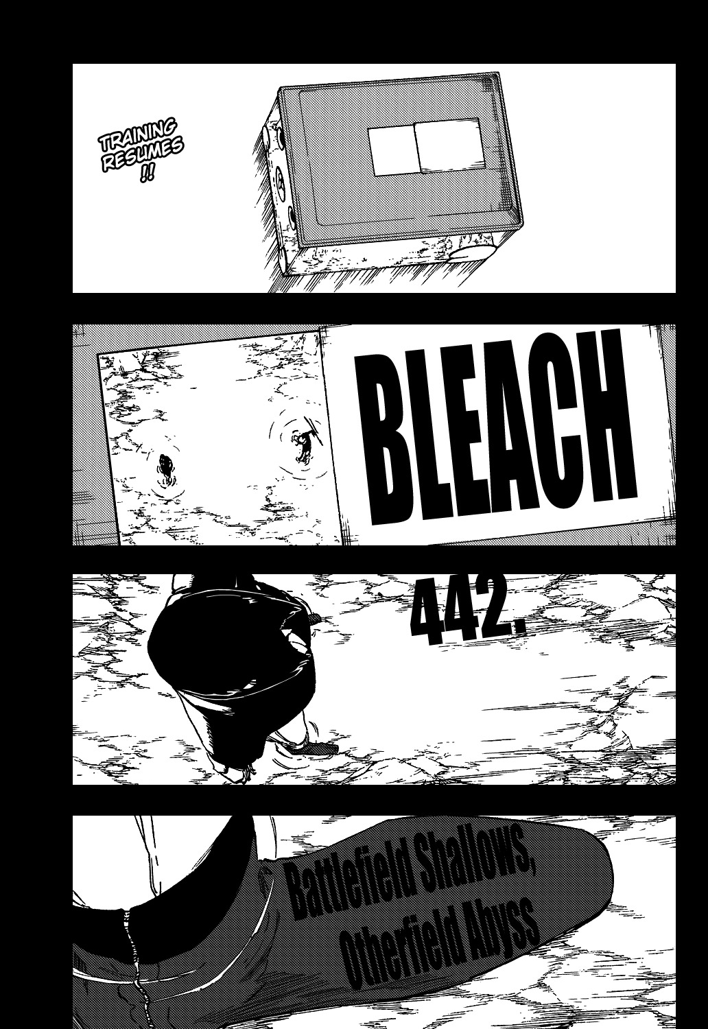 Bleach, Chapter 442 image 06
