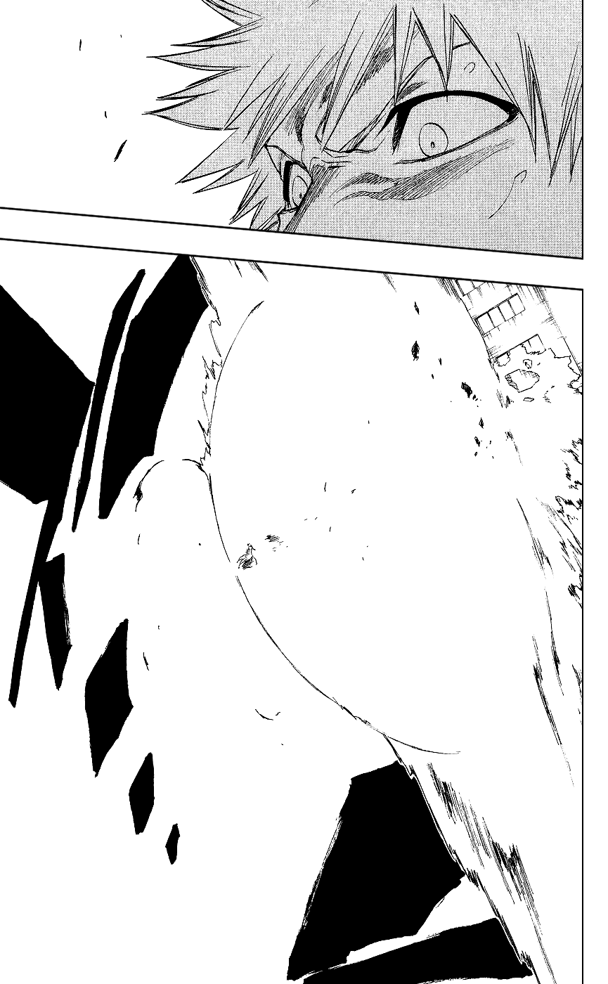 Bleach, Chapter 219 image 11