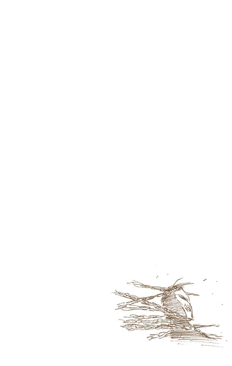 Bleach, Chapter 282 image 18