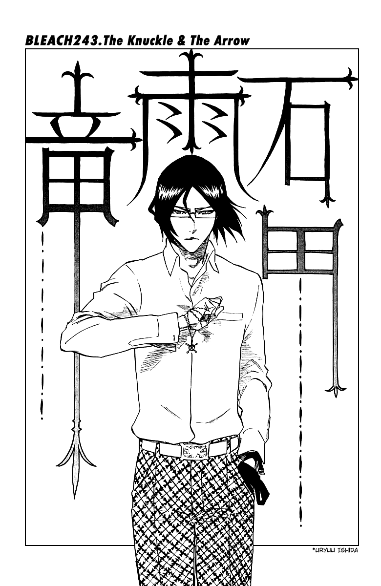 Bleach, Chapter 243 image 12