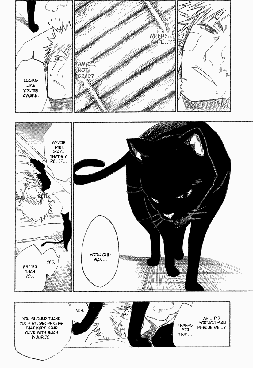 Bleach, Chapter 116 image 16