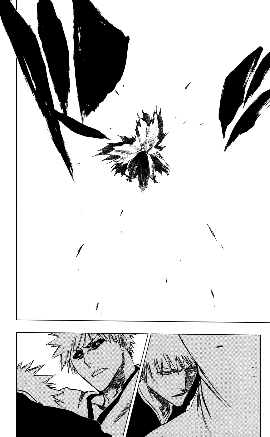 Bleach, Chapter 221 image 14