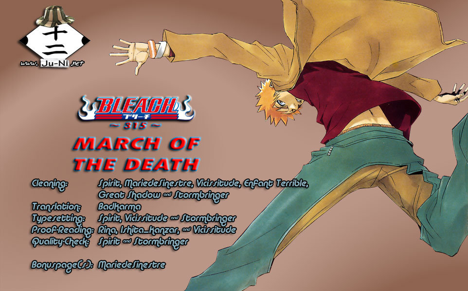 Bleach, Chapter 315 image 01
