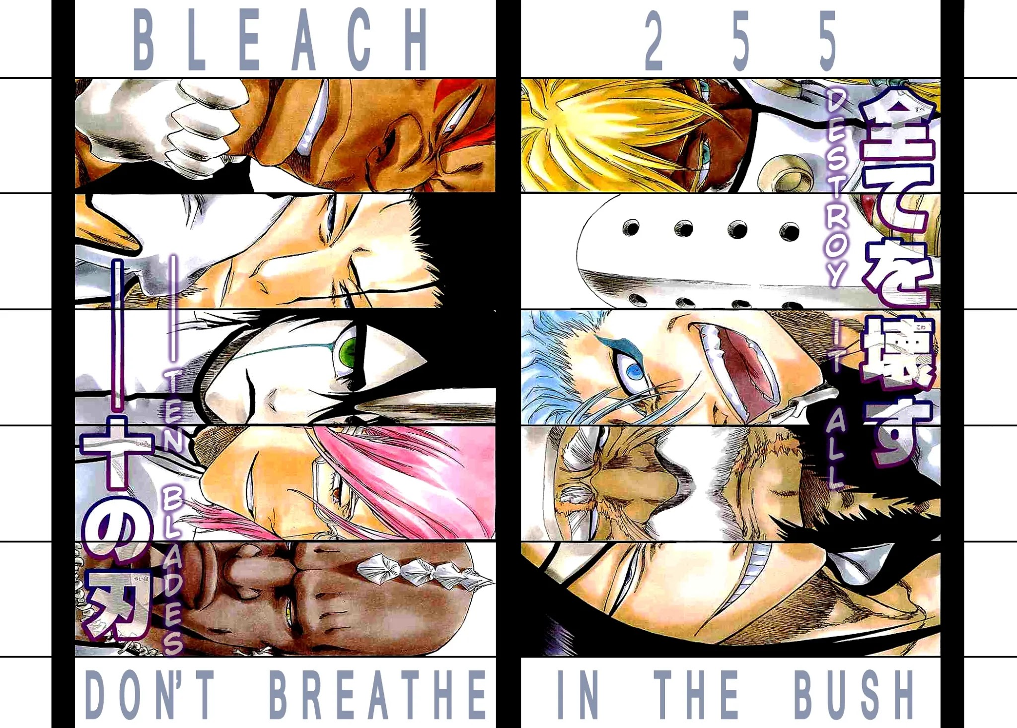 Bleach, Chapter 255 image 04