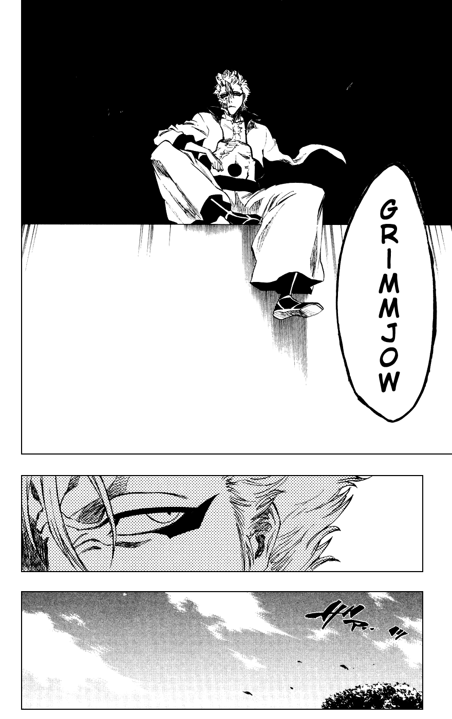 Bleach, Chapter 229 image 17