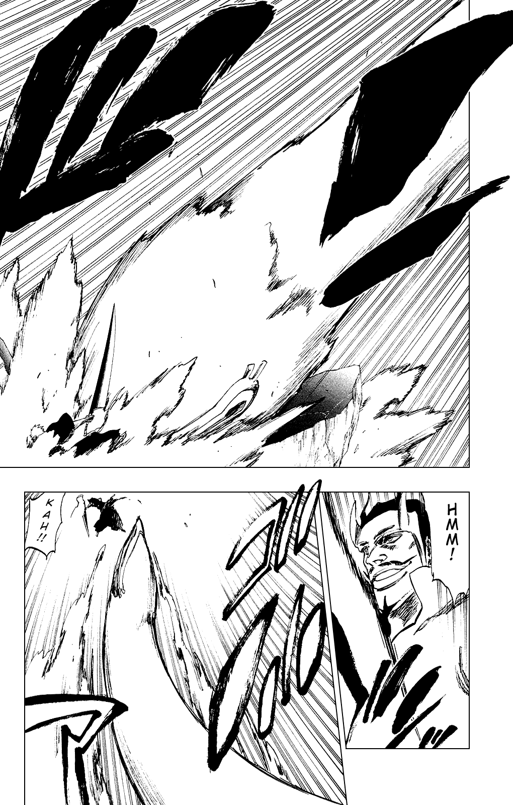 Bleach, Chapter 252 image 17