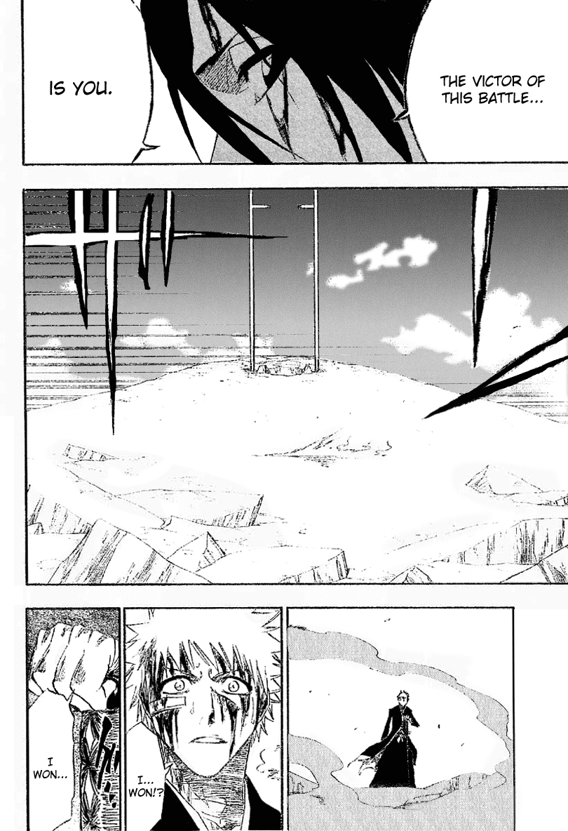 Bleach, Chapter 167 image 14
