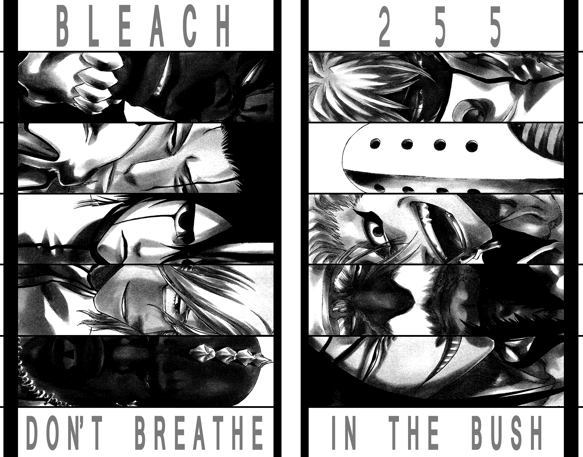 Bleach, Chapter 255 image 03