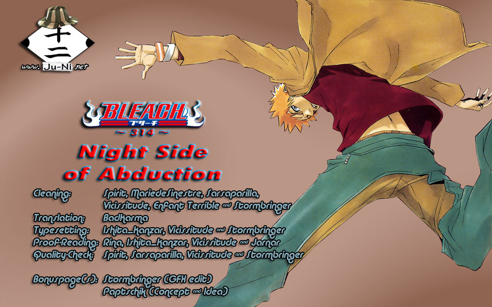 Bleach, Chapter 314 image 01