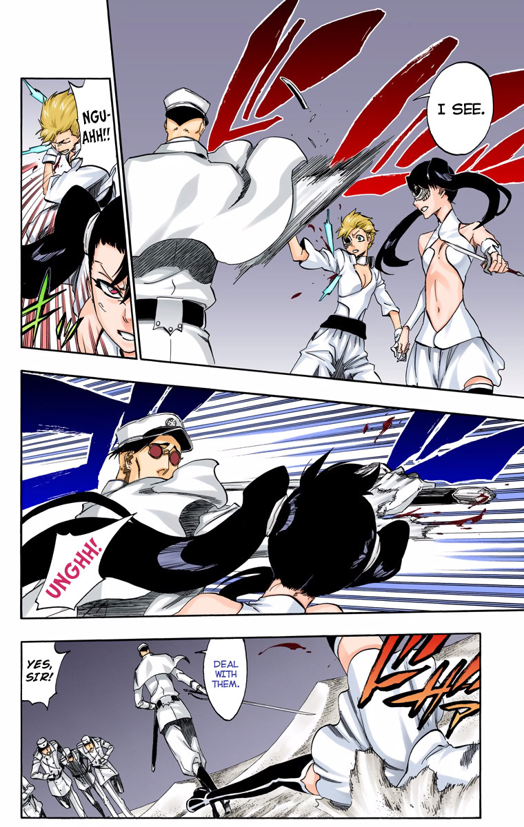 Bleach, Chapter 487 image 18