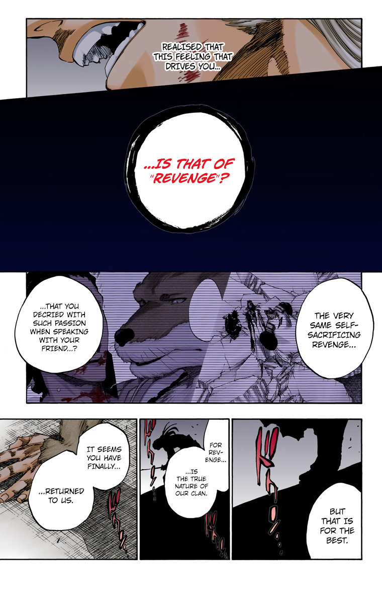 Bleach, Chapter 558 image 11