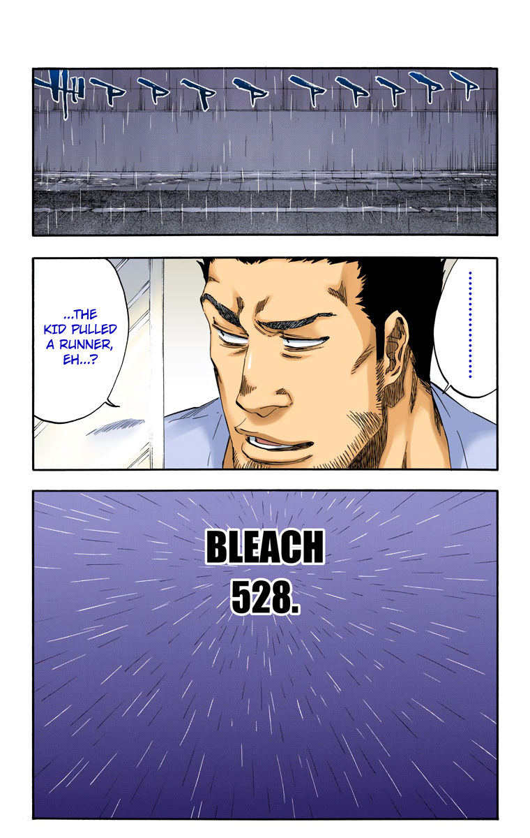 Bleach, Chapter 528 image 05