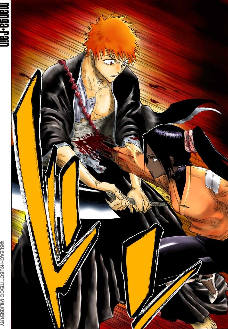 Bleach, Chapter 118 image 12