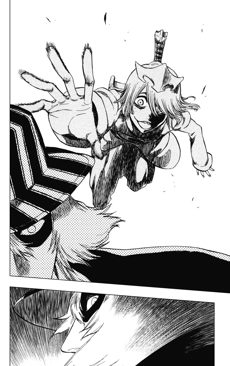 Bleach, Chapter 233 image 14