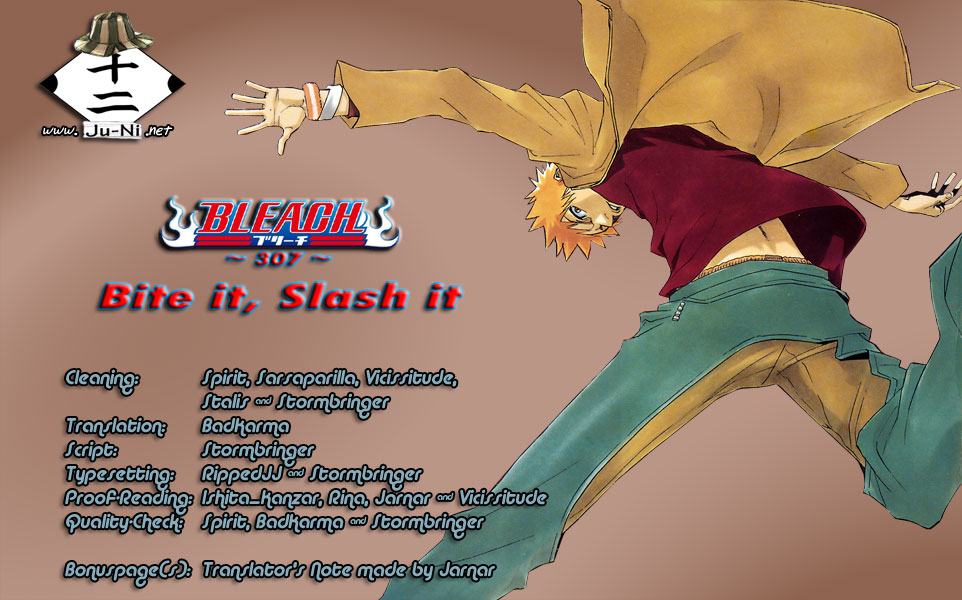 Bleach, Chapter 307 image 01