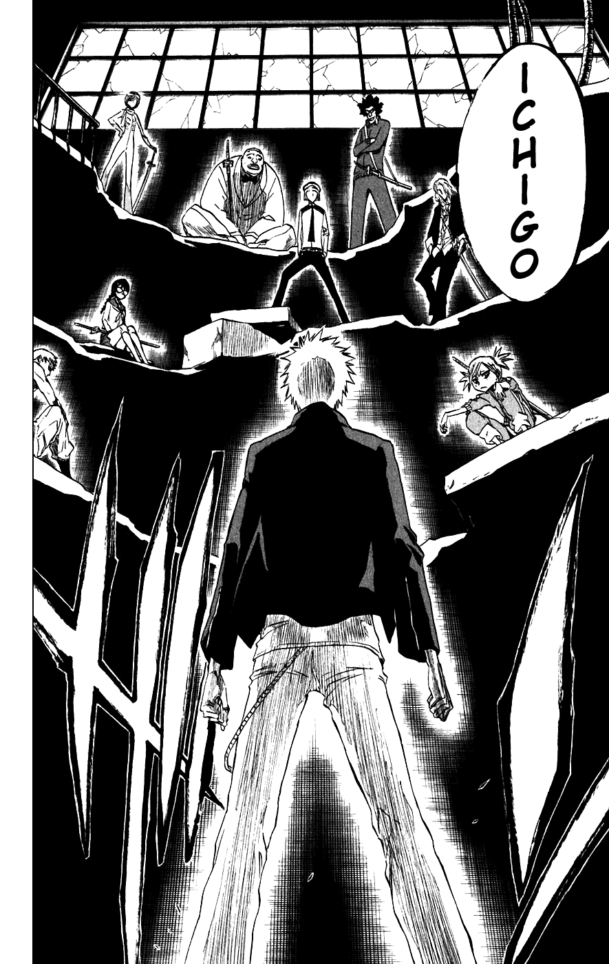 Bleach, Chapter 214 image 18