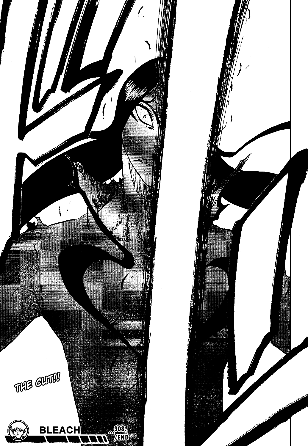 Bleach, Chapter 308 image 21