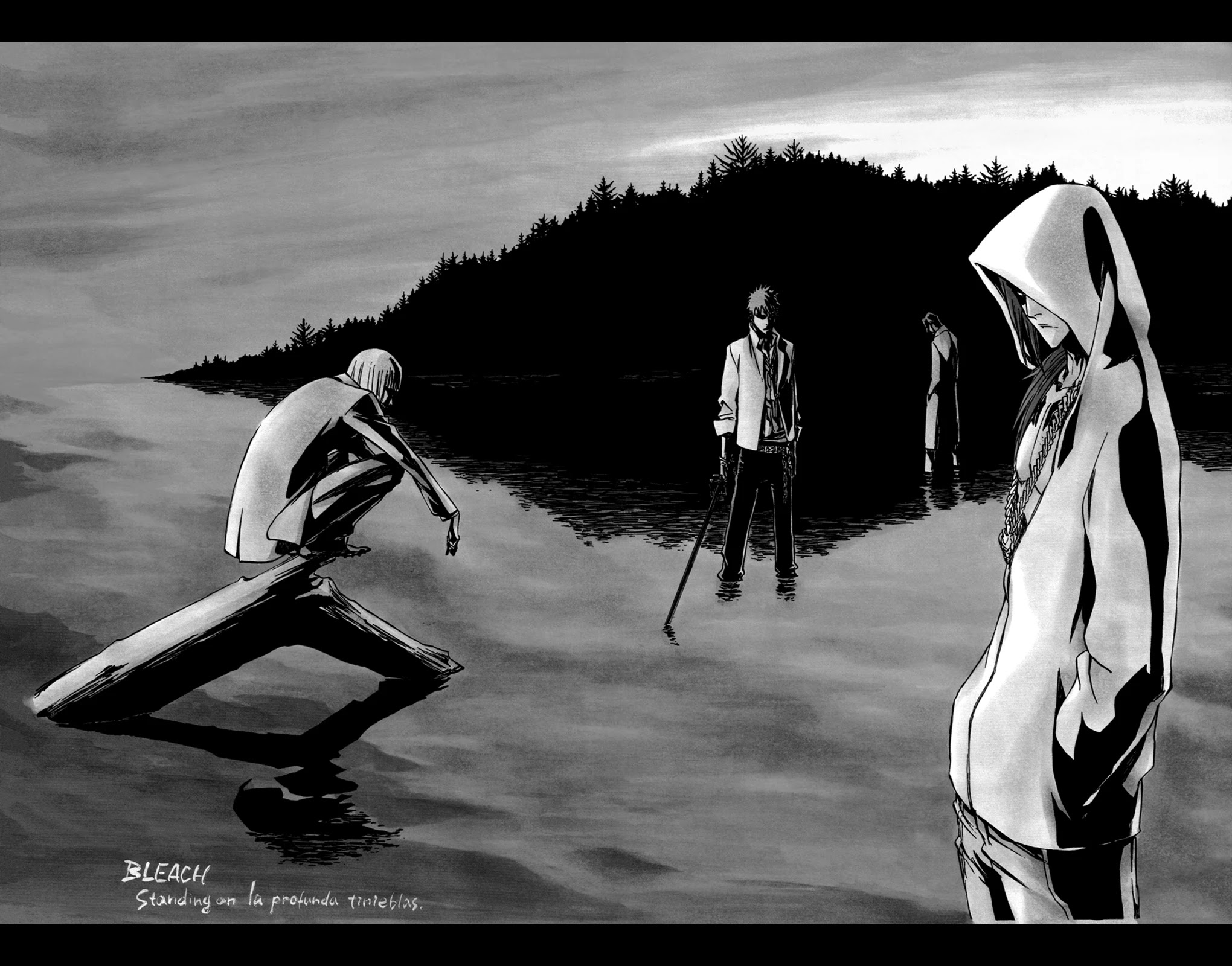 Bleach, Chapter 270 image 13