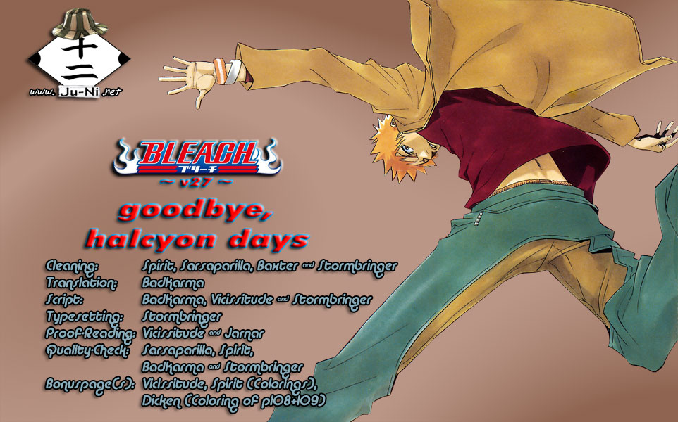 Bleach, Chapter 234 image 01