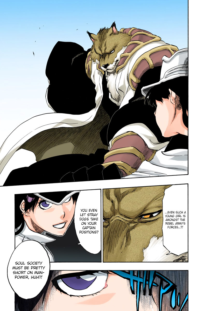 Bleach, Chapter 495 image 15