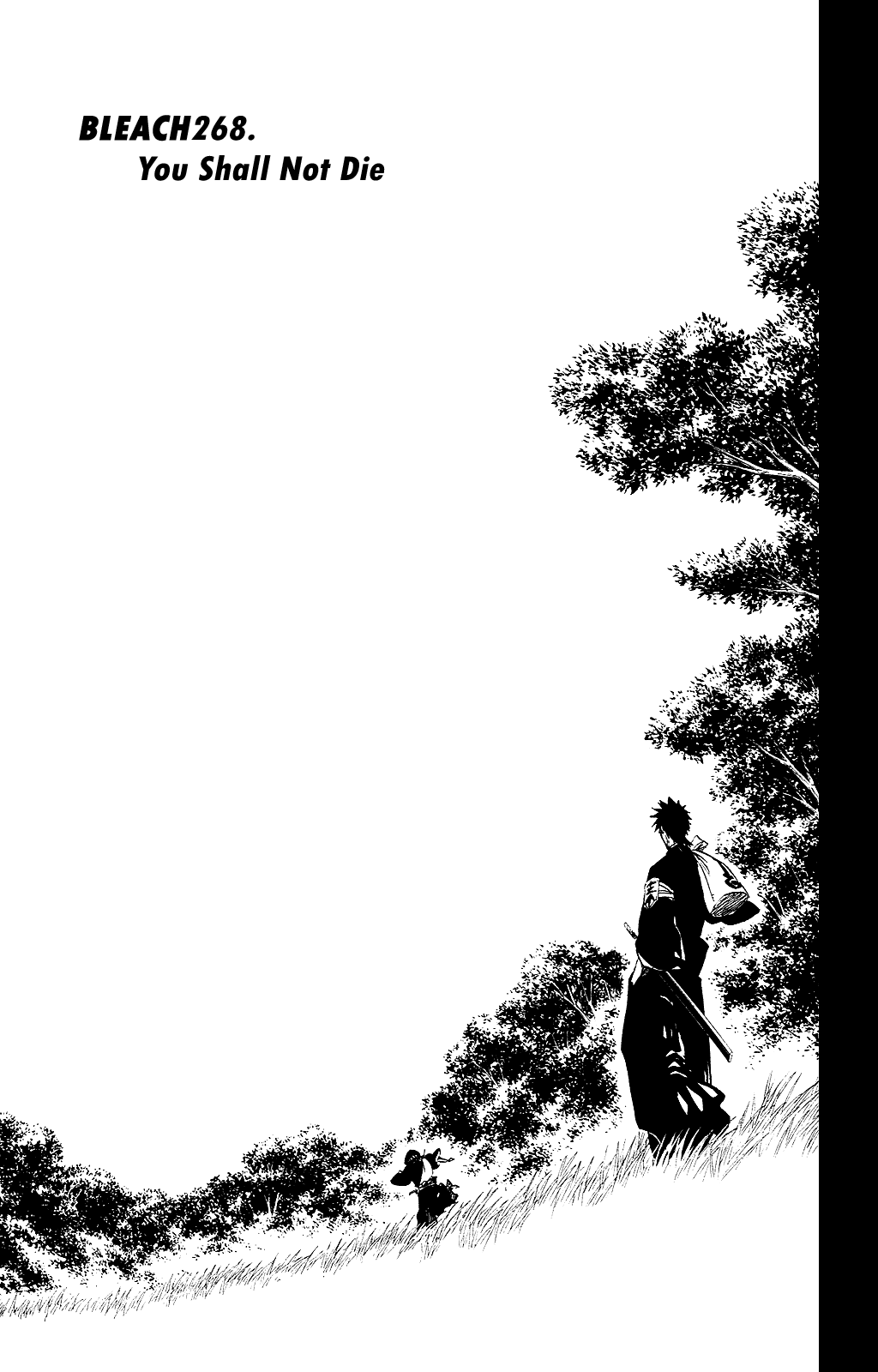 Bleach, Chapter 268 image 05