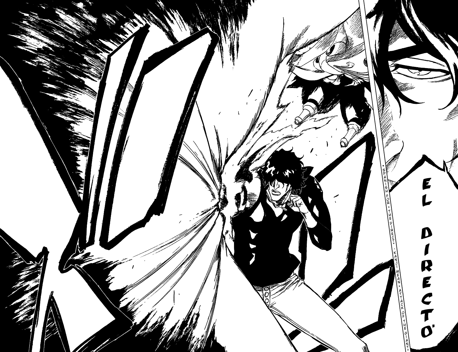 Bleach, Chapter 243 image 25