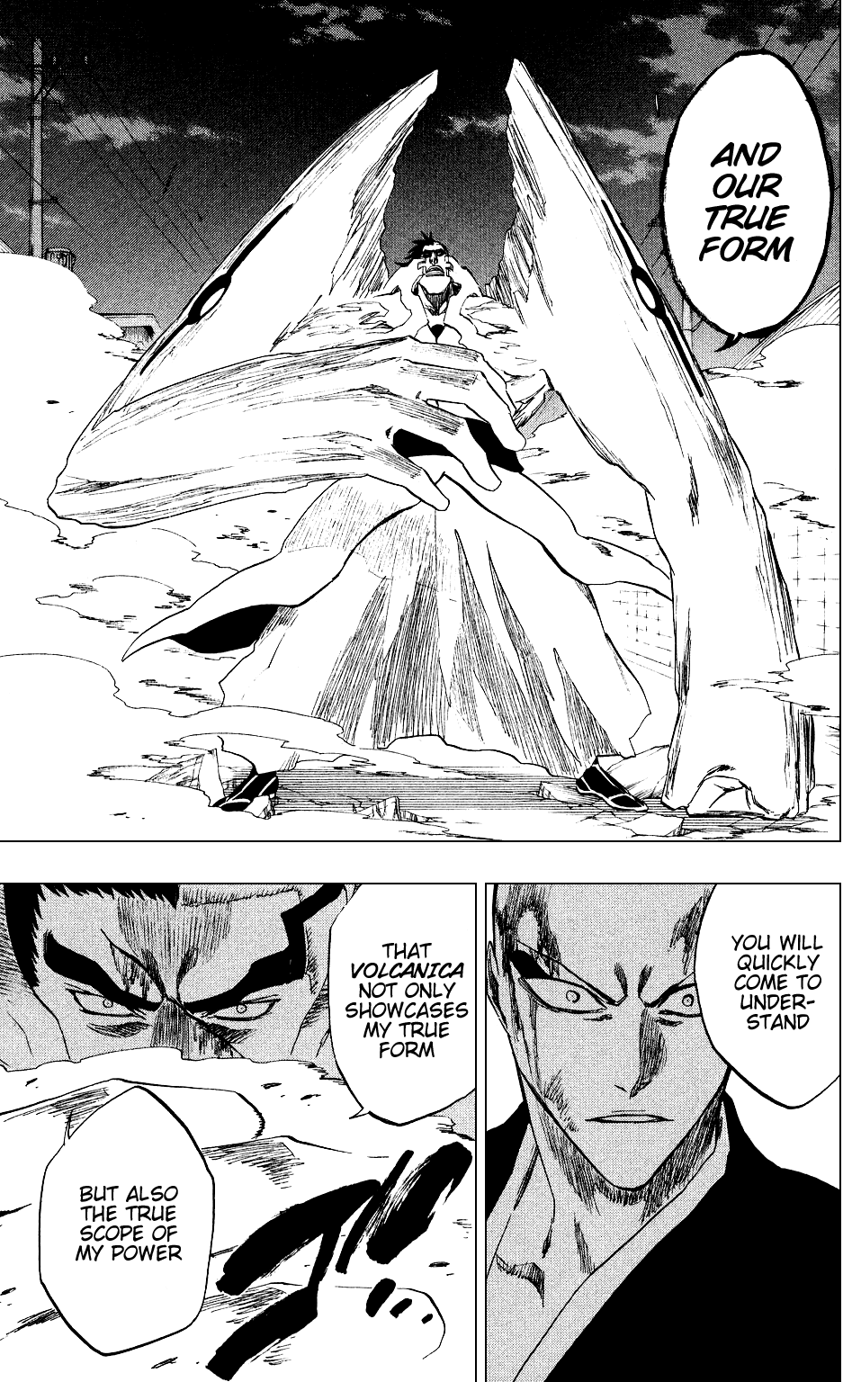 Bleach, Chapter 204 image 11