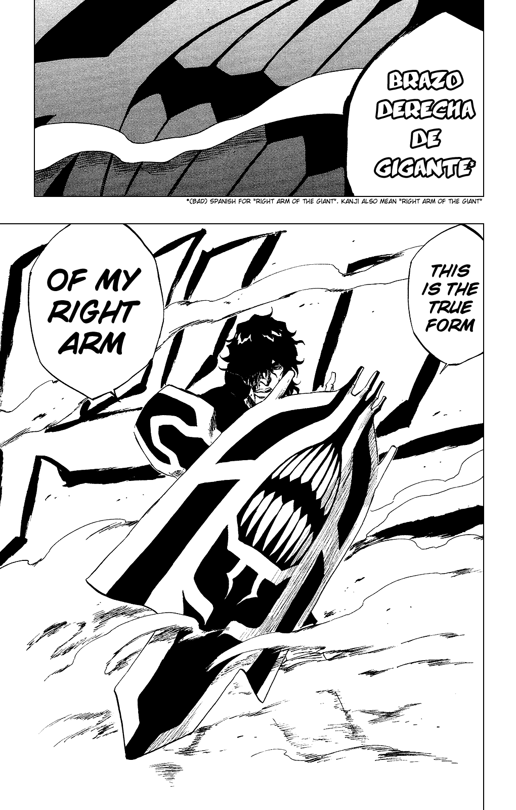 Bleach, Chapter 259 image 19