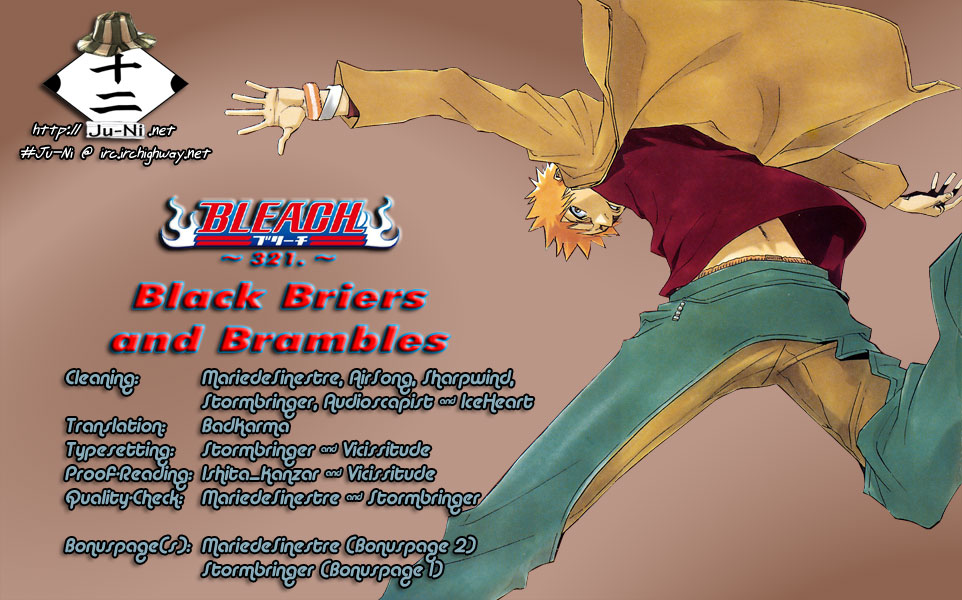 Bleach, Chapter 321 image 01