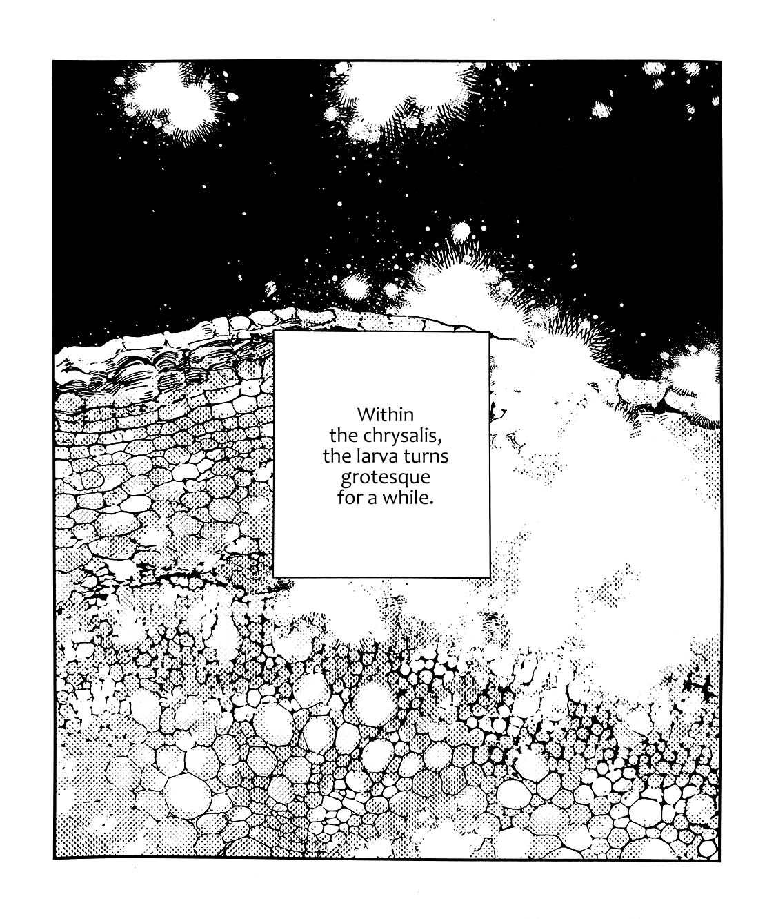 Given, Chapter 39.9 image 02