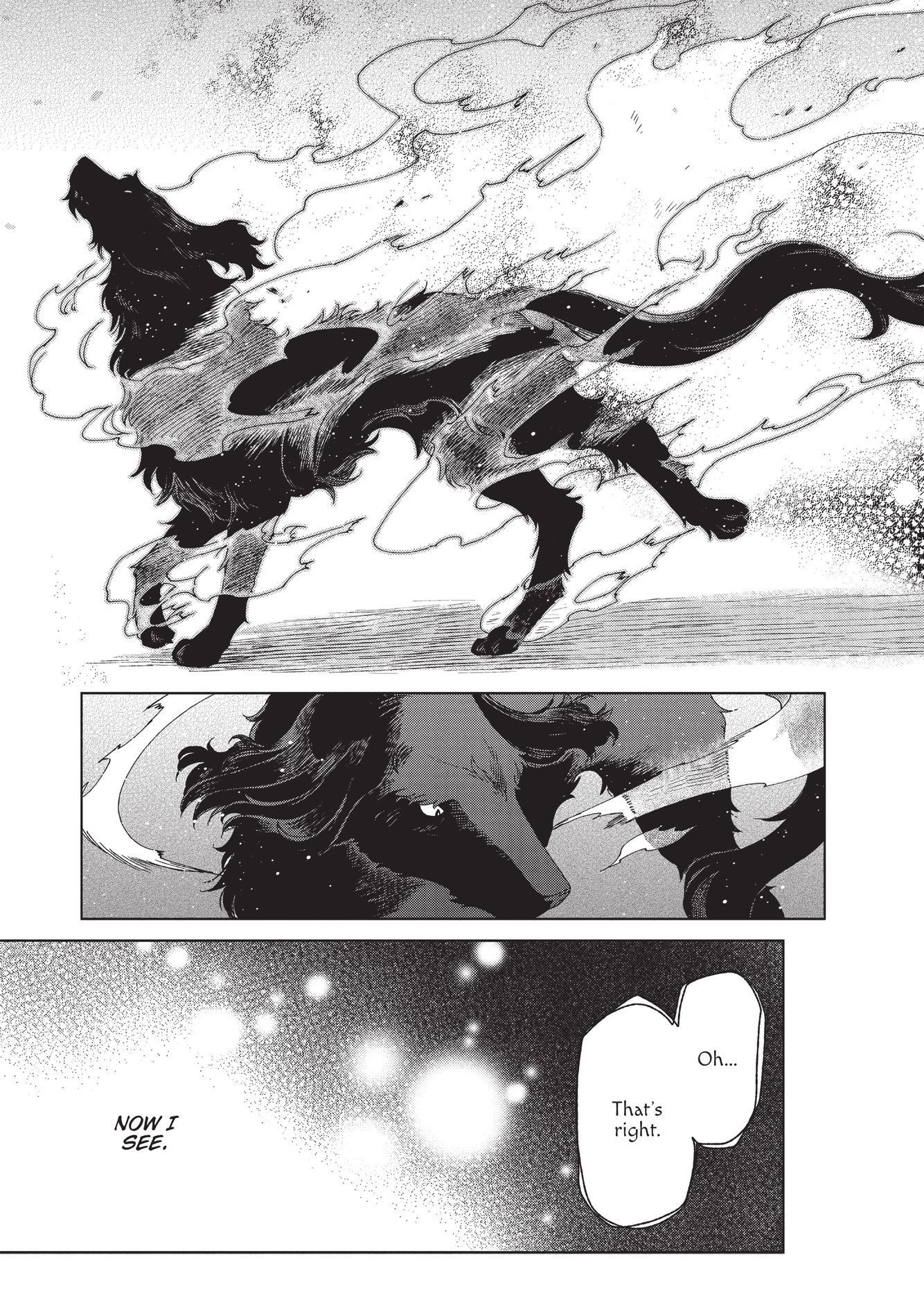 The Ancient Magus Bride, Chapter 12 image 17