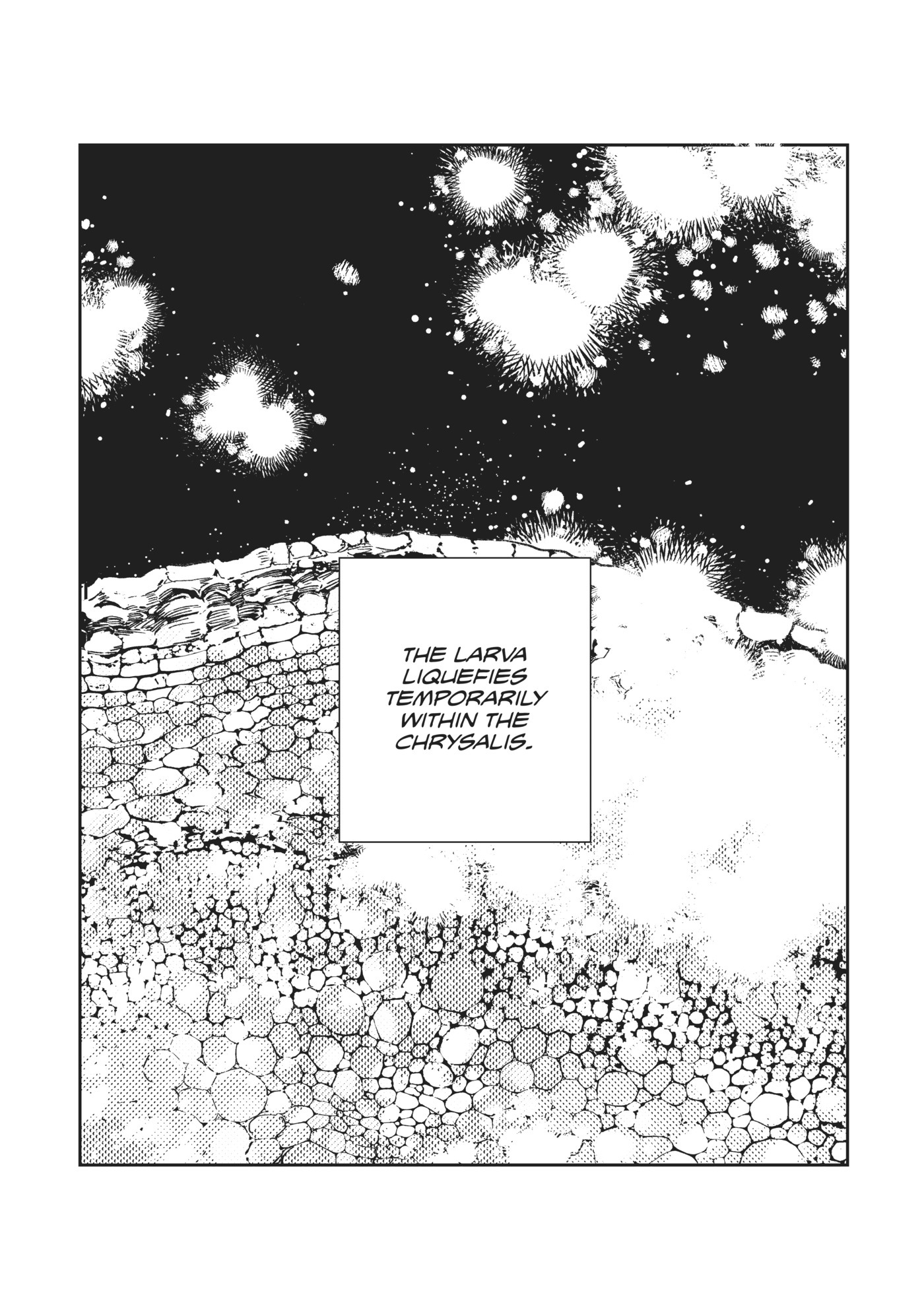 Given, Chapter 45.2 image 02