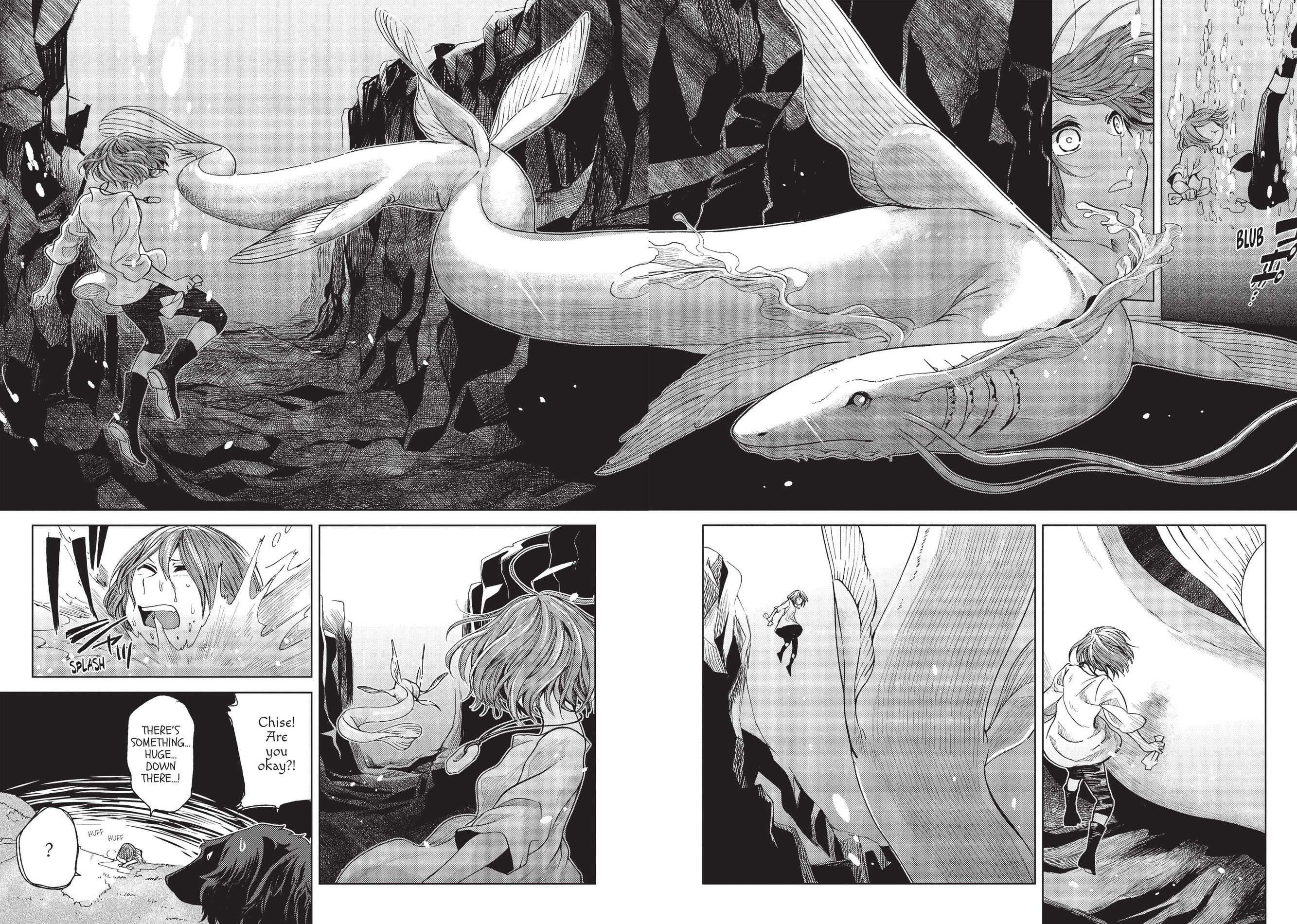 The Ancient Magus Bride, Chapter 17 image 14